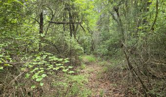 River Rd, Bascom, FL 32423