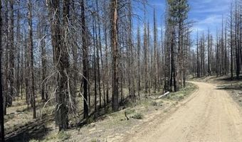 Off-Hicks Road, Bly, OR 97622
