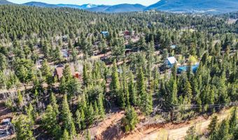 272 Wise Rd, Bailey, CO 80421