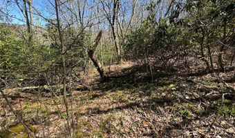 62 Acres Buckeye Ridge Rd, Beech Mountain, NC 28604