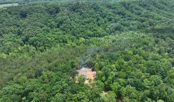 1250 Welcome Valley Rd, Benton, TN 37307