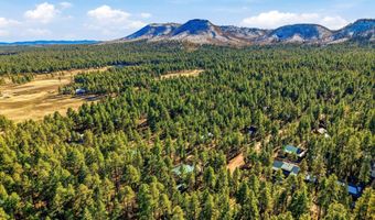 30 County Road 2066, Alpine, AZ 85920