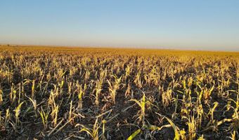 State Highway 214, Adrian, TX 79001