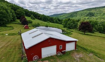 240 Dowie Rd, Andes, NY 13731