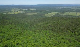 TRACT41 TRAIL RIDGE ROAD, Albion, OK 74571