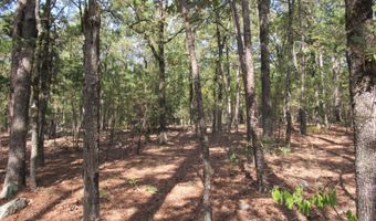 Tract 52 E 1885 Road, Antlers, OK 74523