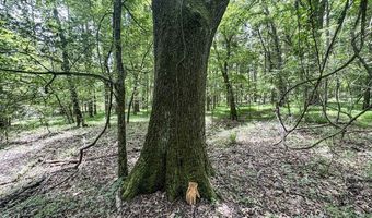 Pine Lodge Road, Batesville, MS 38606