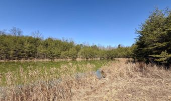 2 Shain Dr, Bardstown, KY 40004