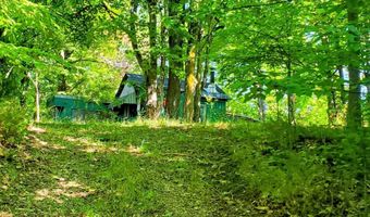 V/L 20AC Monaghan Point Road, Alpena, MI 49707