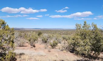 Scorpion lot 50, Ash Fork, AZ 86320