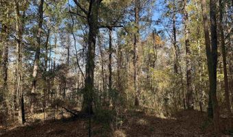 793 Puncheon Creek Dr, Andrews, SC 29510