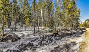 COUNTY ROAD 19 lot 0, Alma, CO 80420