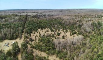 5280 Cathro Rd, Alpena, MI 49707