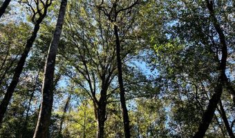 0 Lloyd Mill Rd, Andalusia, AL 36421