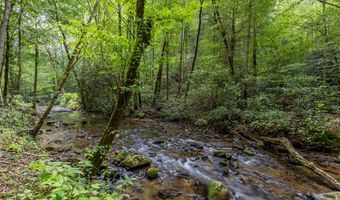 2 9 AC Chestnut Flats Rd, Andrews, NC 28901