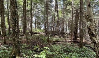 248 Cowan Rd, Averill, VT 05901