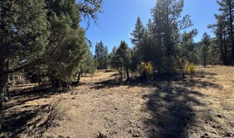 Lot 12 Whitetail Lane, Bonanza, OR 97623