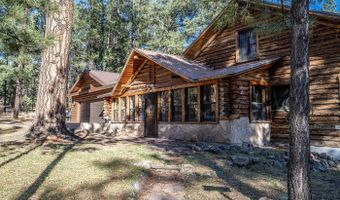 28 COUNTY RD. N2175 HULSEY LAKE RD., Alpine, AZ 85920