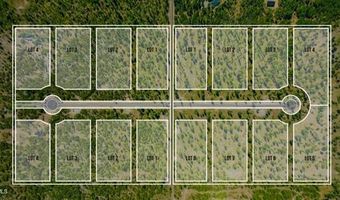 Lt 4 Blk 1 WALLACE LANE, Blanchard, ID 83804