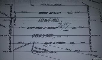 Ms # 17664- LAST ROSE BARRY LYNDON RORY OMORE - 66.66%, Alma, CO 80420