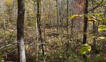 County Road 12, Akeley, MN 56433
