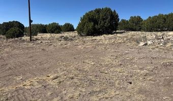 68 County Rd N8171, Concho, AZ 85924