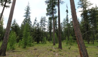 Nhn Black Wolf Trail, Bigfork, MT 59911