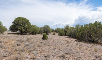 14 XX W BISON HUNT No Address Way 104, Chino Valley, AZ 86323