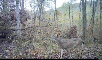 0 Swaim Hill Rd, Batesville, AR 72501