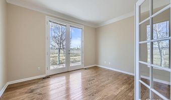16021 Verbena St, Brighton, CO 80602