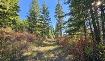 25 XX BURGESS Rd, Addy, WA 99101