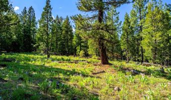 9454 Ridge Rd, Alturas, CA 96101