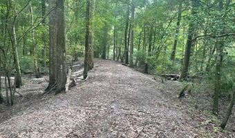 1373 Bridge St, Branchville, SC 29432