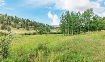 427 Wise Rd, Bailey, CO 80421