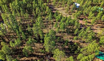 20 Co Rd 2067, Alpine, AZ 85920