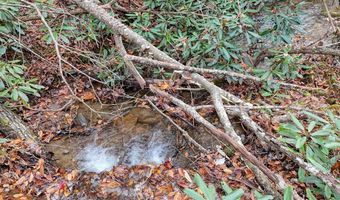 135 49ac Webb Creek Rd, Andrews, NC 28901