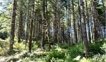 Tunnel Tract Parcel1, Banks, OR 97106