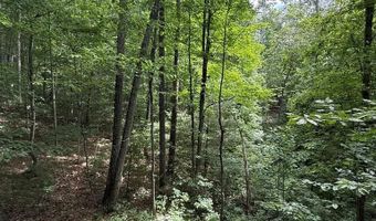 Fritz Run Rd, Ballard, WV 24918