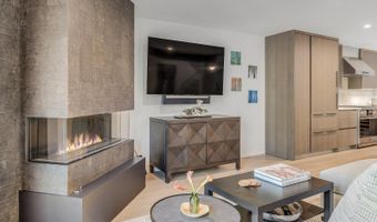 650 S Monarch St 7, Aspen, CO 81611