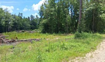 Dan Churchman Road, Axis, AL 36505