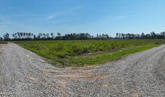 38774 S Mccarrol Rd, Amite, LA 70422