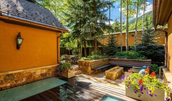 303 W Hopkins Ave, Aspen, CO 81611