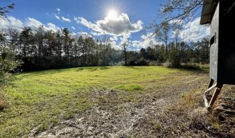 0 George Ford Rd, Carriere, MS 39426