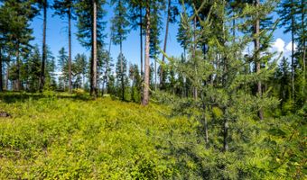 664 Saddlehorn Trl, Bigfork, MT 59911