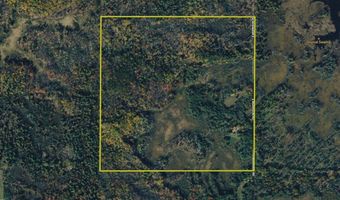 5826 S Morrison Rd, Alger, MI 48610