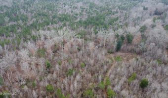 Saint John Road, Braxton, MS 39044