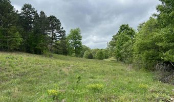 Co Rd 321 Route 5, Ava, MO 65608