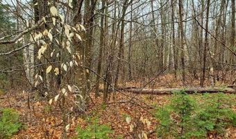0 Ryan Rd, Baileyville, ME 04694