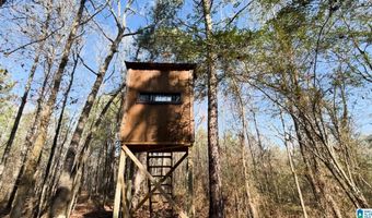 439 WILD ROSE Trl, Ashville, AL 35953