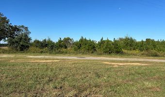 20 Ac State Hwy 95 Columbia Rd, Abbeville, AL 36310